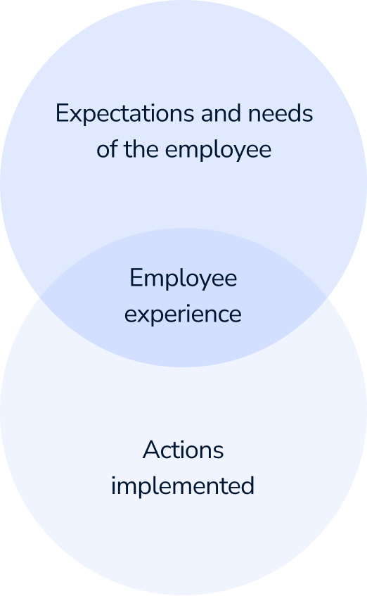 Expectations and needs of the employee, Employee experience, Actions implemented by the employer to meet perceived expectations and needs