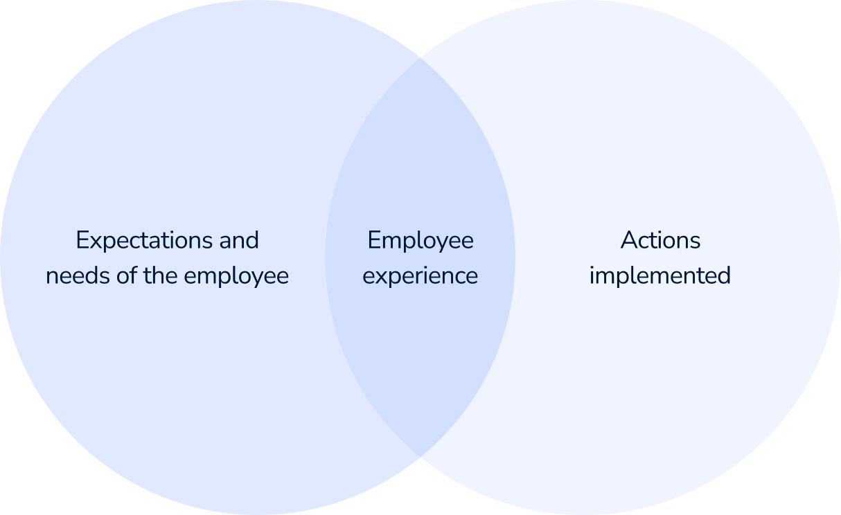 Expectations and needs of the employee, Employee experience, Actions implemented by the employer to meet perceived expectations and needs